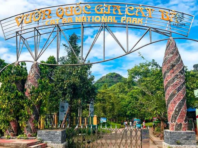 Vườn quốc gia Cát Bà di sản được UNESCO công nhận là khu dự trữ sinh quyển thế giớ