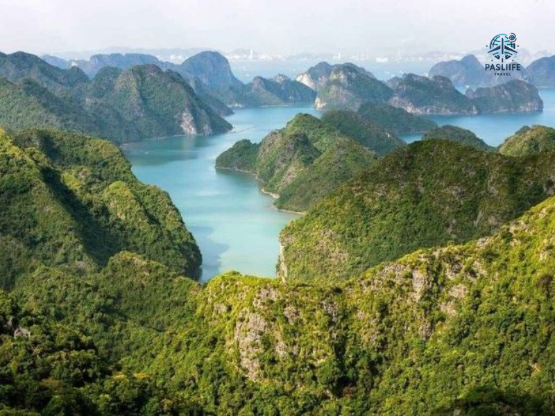 Vườn quốc gia Cát Bà di sản được UNESCO công nhận là khu dự trữ sinh quyển thế giớ