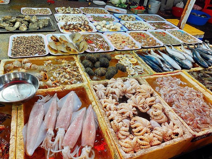 Vịnh Lan Hạ nổi tiếng với các món hải sản tươi sống được nuôi trồng tại các làng bè địa phương