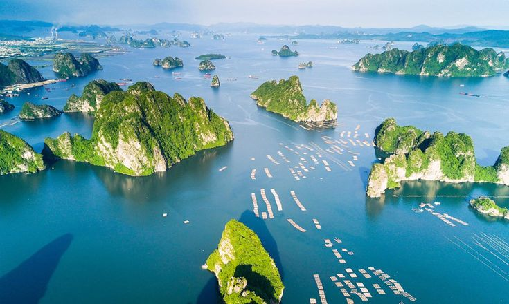 Vịnh Lan Hạ điểm đến du lịch hấp dẫn cho những ai yêu thích vẻ đẹp hoang sơ và trải nghiệm yên tĩnh