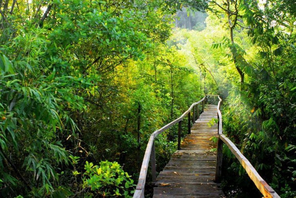 tour-ha-noi-cat-ba-rung-quoc-gia-cat-ba