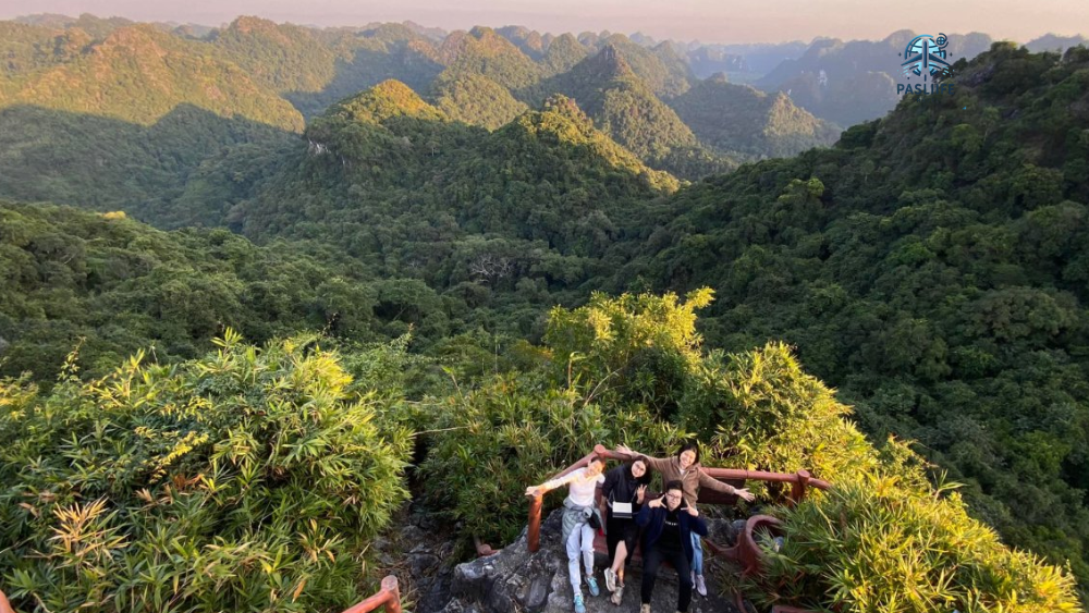 tour-cat-ba-trong-ngay