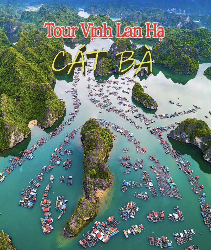 Vịnh Lan Hạ ở đâu? Lý giải cho những ai chưa biết