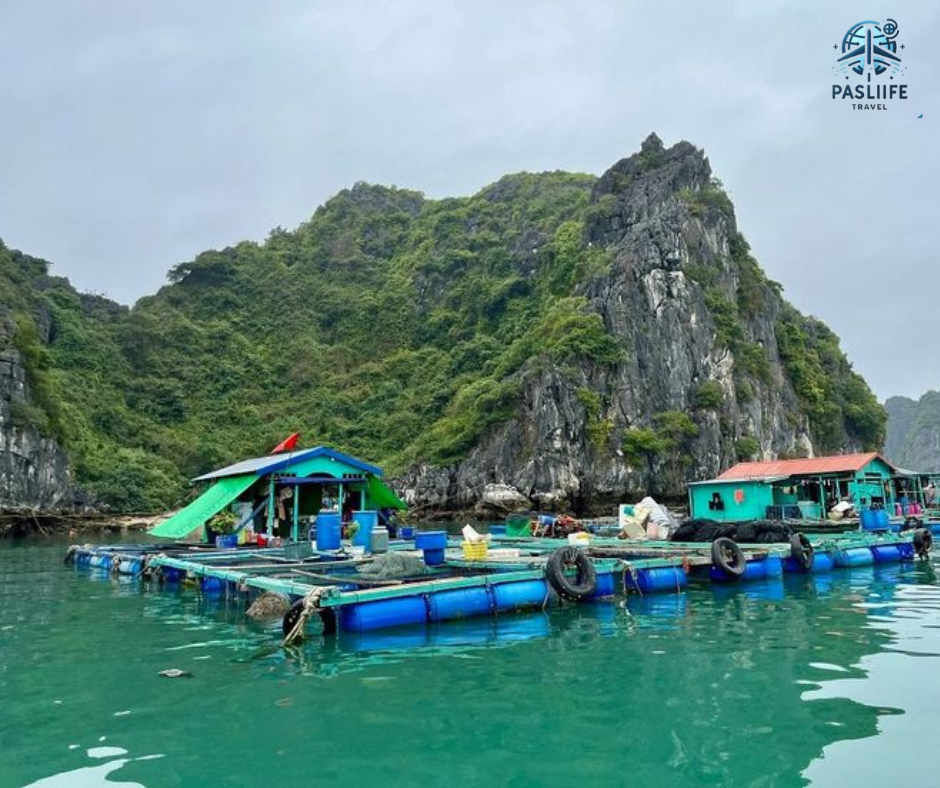 tham-quan-lang-chai-cai-beo
